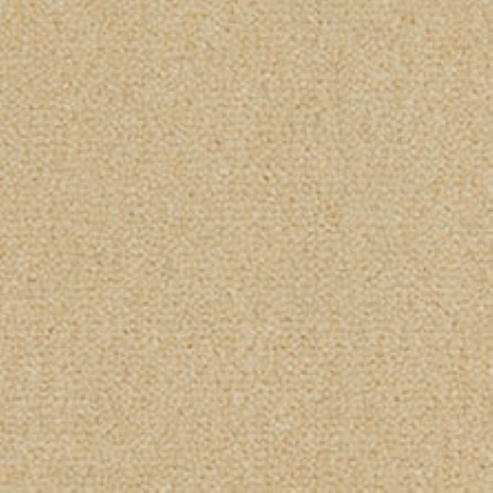 Wool mix velvet carpets in colour Champagne