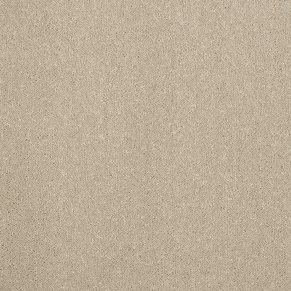 100% Polypropylene carpets in colour Taupe 08
