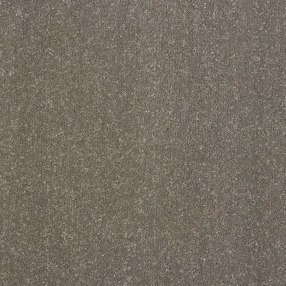100% Polypropylene carpets in colour Pewter C13