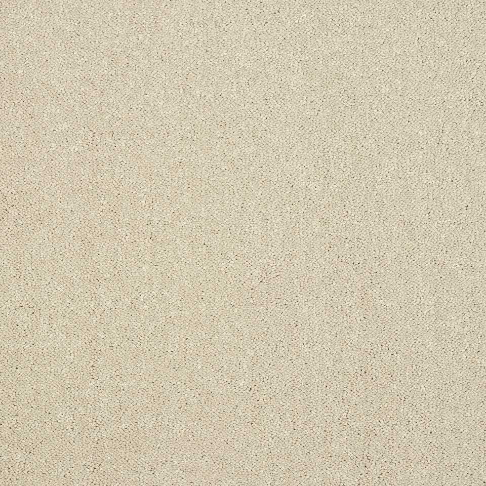 100% Polypropylene carpets in colour Mushroom C14